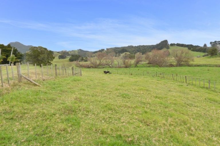 Photo of property in 132 Omana Road, Waiotira, 0193