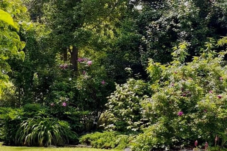 Photo of property in 466 Earlys Road, Cust, 7471