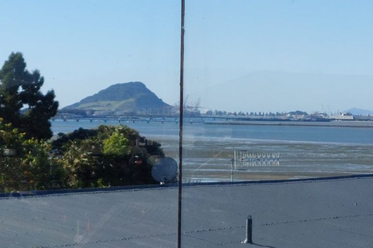 Photo of property in 19a Vine Avenue, Maungatapu, Tauranga, 3112