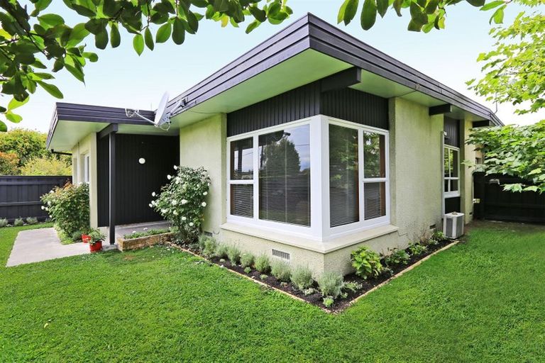 Photo of property in 26 Campbell Street, Havelock North, 4130