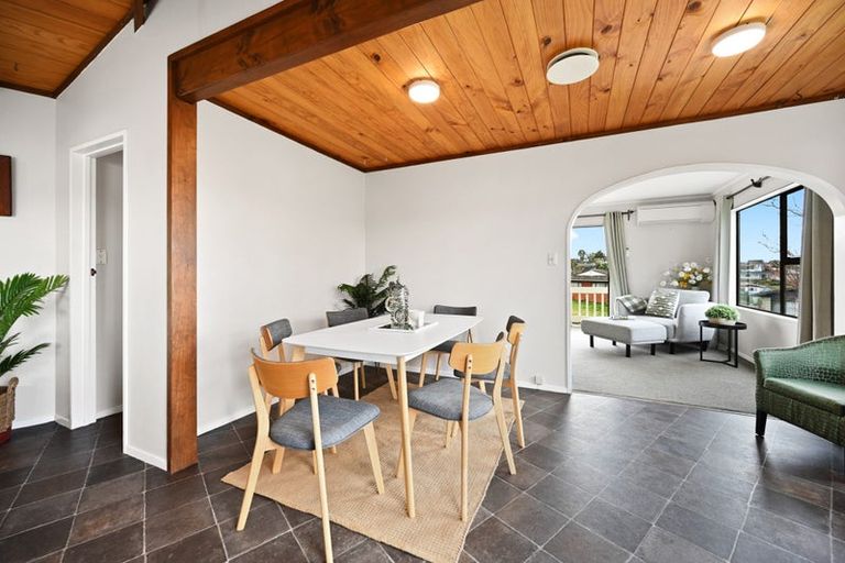 Photo of property in 101 Amanda Avenue, Dinsdale, Hamilton, 3204