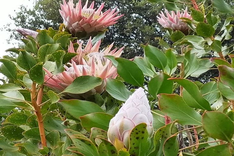 Photo of property in 1579 Tairua Whitianga Road, Whenuakite, Whitianga, 3591