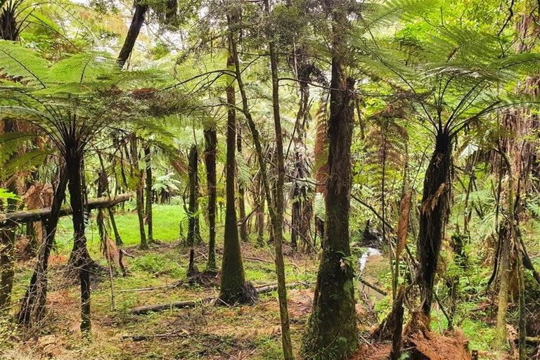 Photo of property in 67 Fraser Road, Kawakawa, 0210