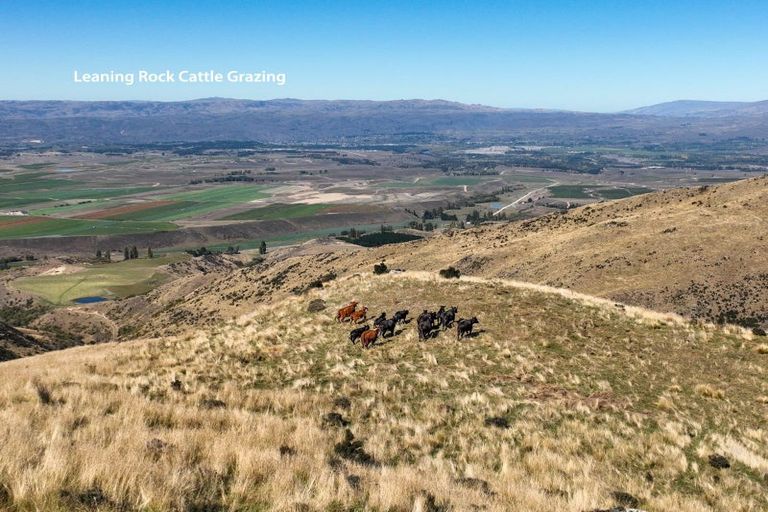 Photo of property in 94 Middleton Road, Upper Riccarton, Christchurch, 8041