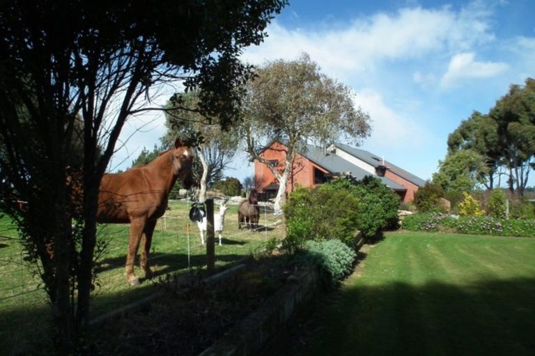 Photo of property in 185 Homestead Road, Weston, Oamaru, 9491