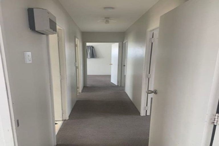 Photo of property in 29 Barneys Farm Road, Clendon Park, Auckland, 2103