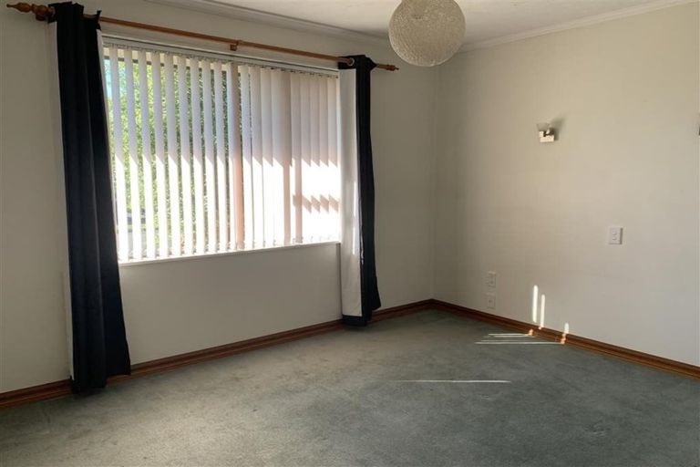 Photo of property in 41 Arbor-lea Avenue, Richmond, 7020