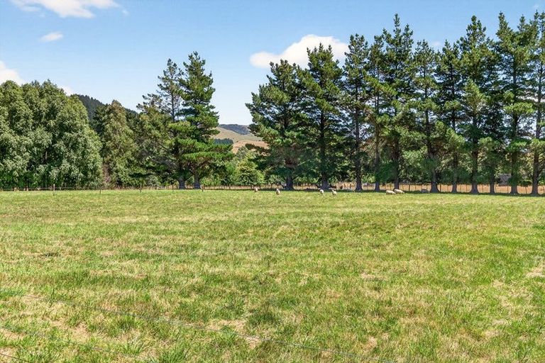 Photo of property in 869 Norfolk Road, Upper Plain, Carterton, 5791