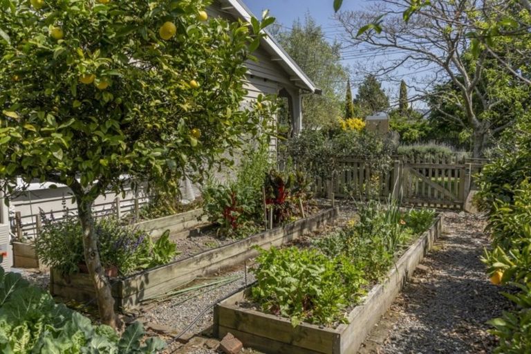 Photo of property in 429 High Street South, Carterton, 5713