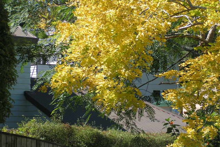 Photo of property in 6/4 Council Terrace, Northcote Point, Auckland, 0627