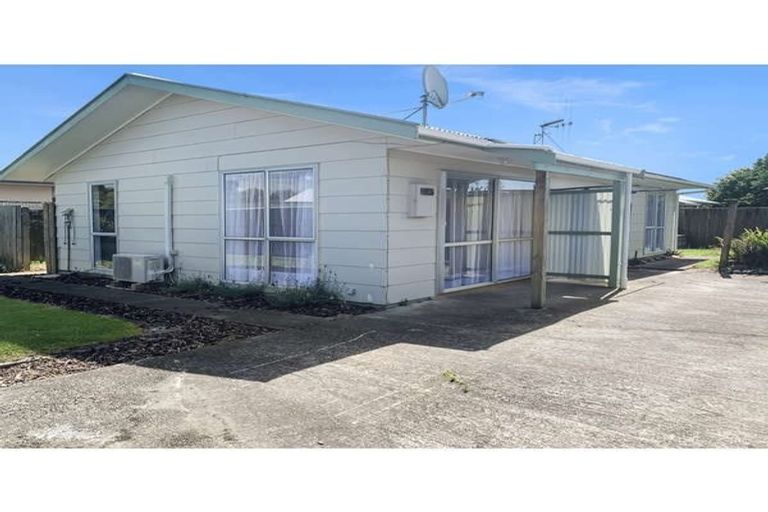 Photo of property in 179 Tiro Tiro Road, Levin, 5510