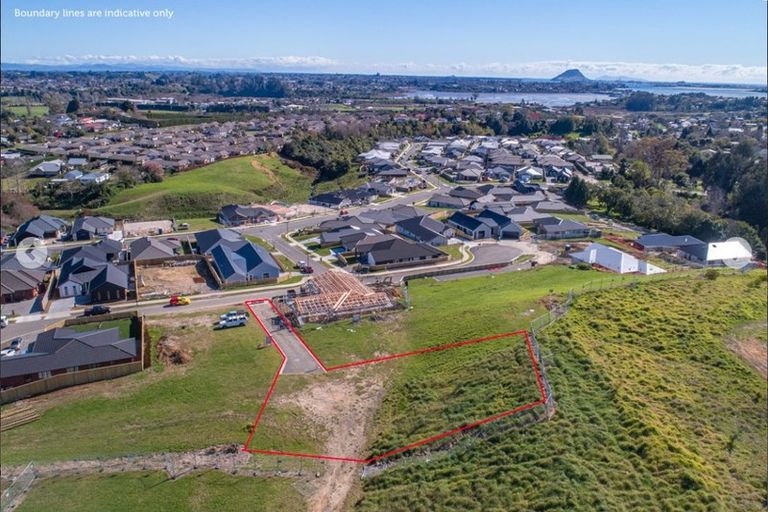 Photo of property in 42 Pinkerton Place, Ohauiti, Tauranga, 3112