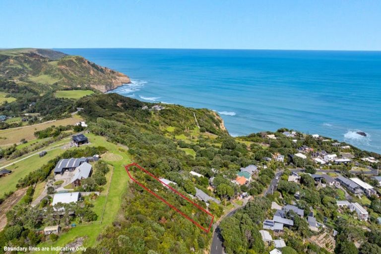 Photo of property in 119 Waitea Road, Muriwai, 0881
