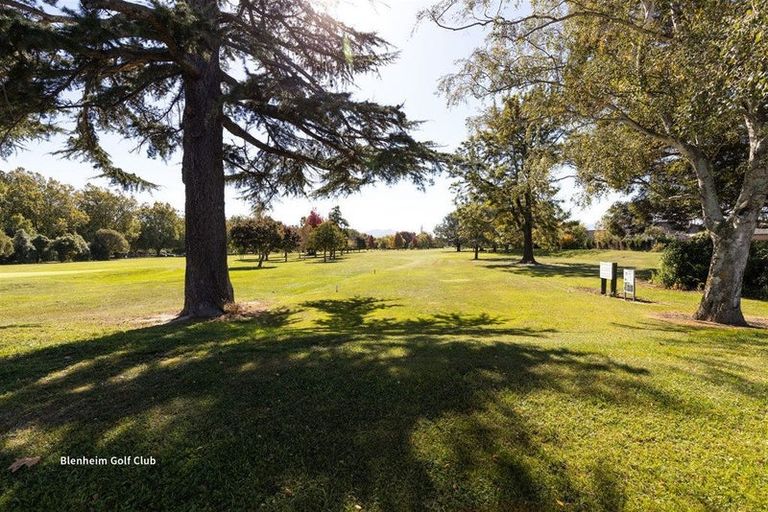 Photo of property in 5 Magnolia Drive, Springlands, Blenheim, 7201