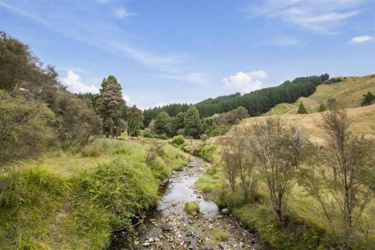Photo of property in 47 Whakamaro Road, Aukopae, Taumarunui, 3991