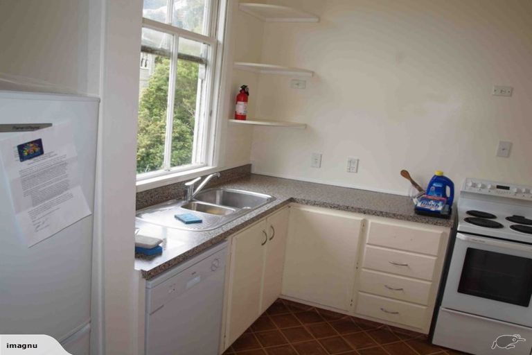 Photo of property in 217 Aro Street, Aro Valley, Wellington, 6021