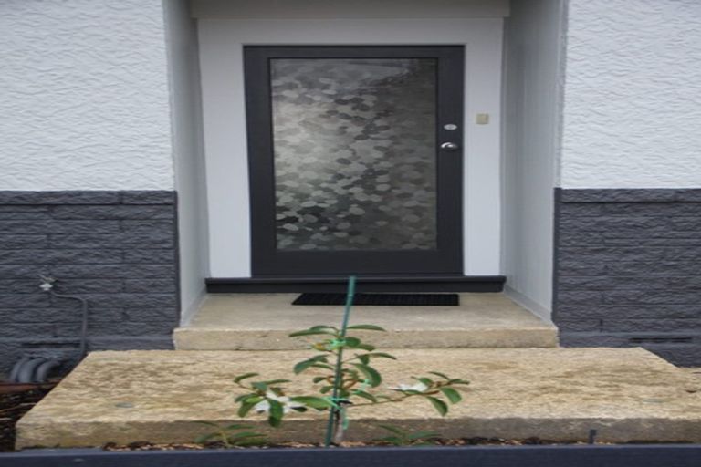 Photo of property in 182 Oxford Street, South Dunedin, Dunedin, 9012