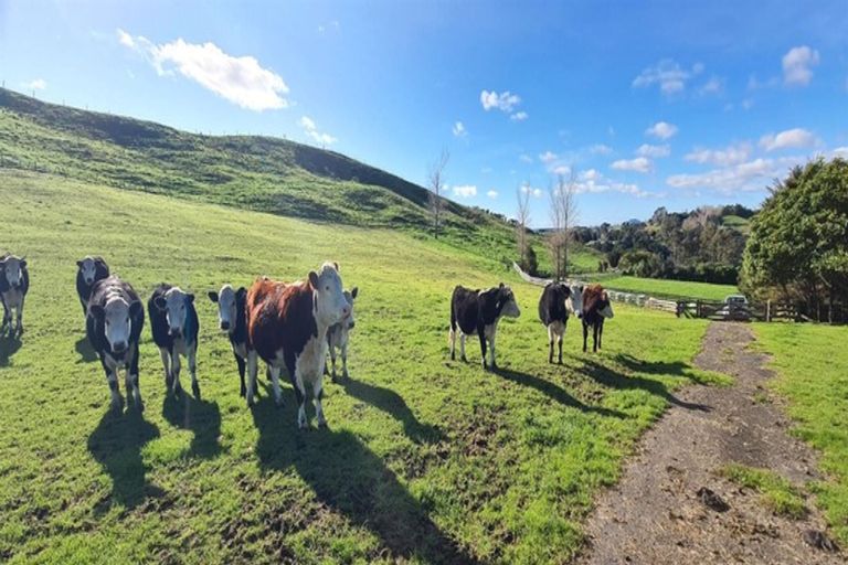 Photo of property in 8g Hinckley Road, Whakamarama, 3181