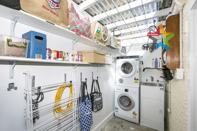 Photo of property in 111 Elizabeth Street, Mount Victoria, Wellington, 6011