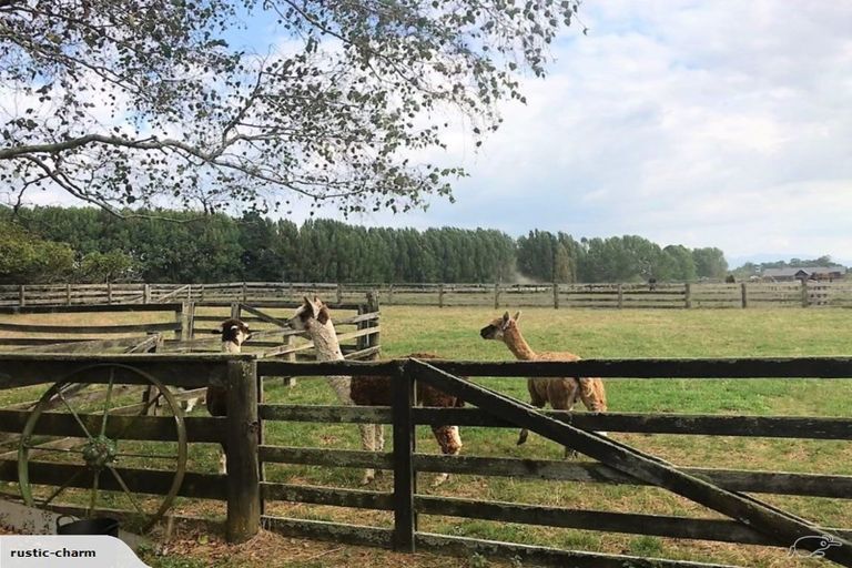 Photo of property in 85 Tarr Road, Ohaupo, 3881