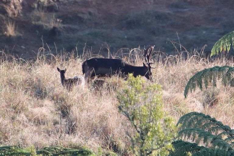 Photo of property in 1394 No 3 Road, Te Puke, 3183