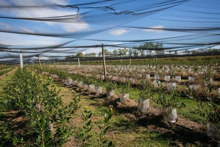 Photo of property in 1/3200 Cambridge Road, Rotoorangi, Cambridge, 3495