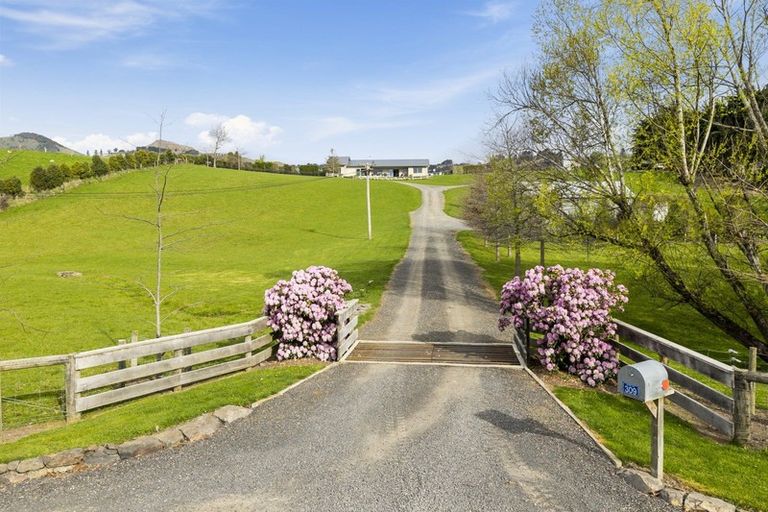 Photo of property in 309 Gladstone Road North, Mosgiel, 9092