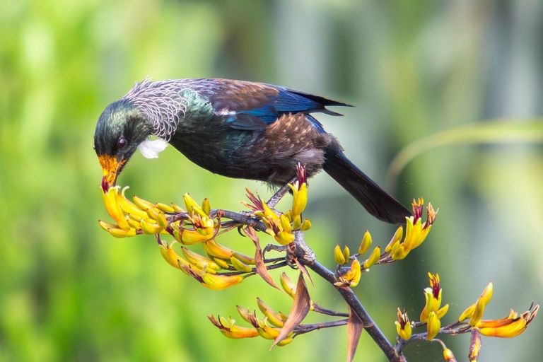 Photo of property in 672c State Highway 67, Mokihinui, Westport, 7891