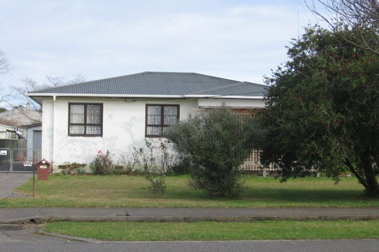 Photo of property in 223 Mayfair Avenue, Mayfair, Hastings, 4122