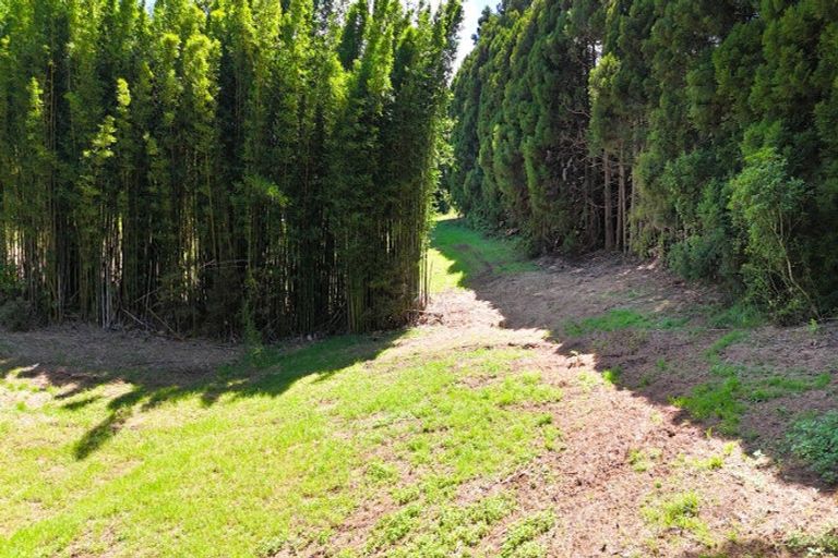 Photo of property in 34 Cottle Hill Drive, Kerikeri, 0293