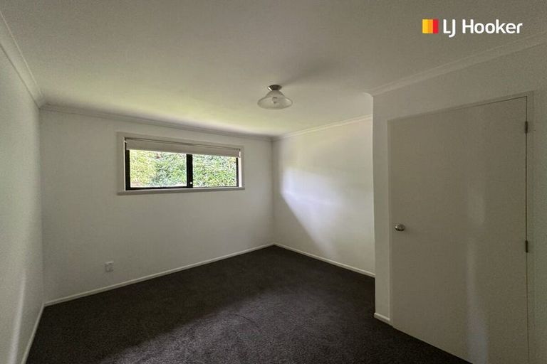 Photo of property in 3 Ballance Street, Caversham, Dunedin, 9011