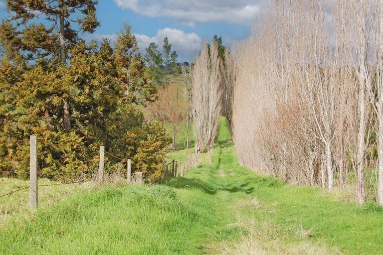 Photo of property in 91 Whaka Street, Maungaturoto, 0520