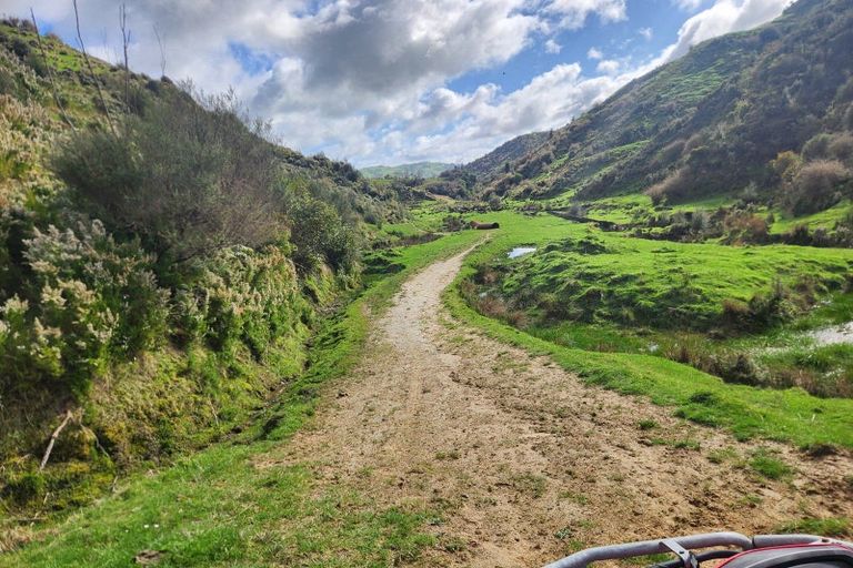 Photo of property in 987 Mangaehu Road, Puniwhakau, Stratford, 4392