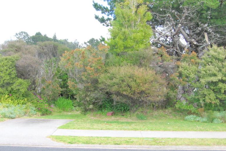 Photo of property in 249 Otahu Road, Whangamata, 3620