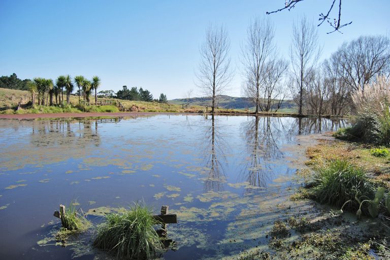 Photo of property in 1216 Oneriri Road, Kaiwaka, 0573