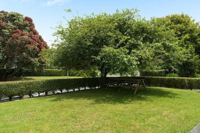 Photo of property in 48 Fraser Street, Tauranga South, Tauranga, 3112