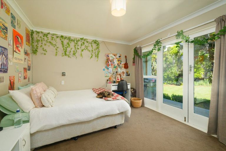Photo of property in 1519 Marama Road, Seddon, 7285