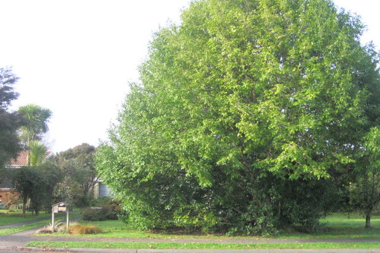 Photo of property in 10 Pickering Crescent, Chedworth, Hamilton, 3210