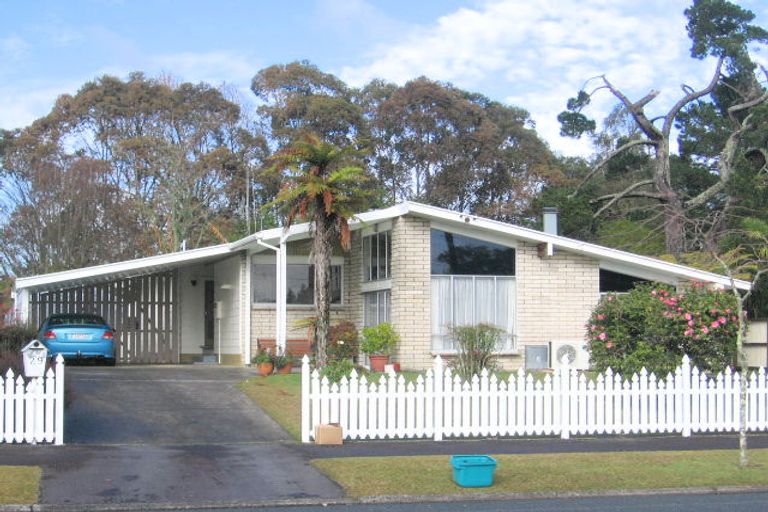 Photo of property in 29 Fitzroy Avenue, Fitzroy, Hamilton, 3206