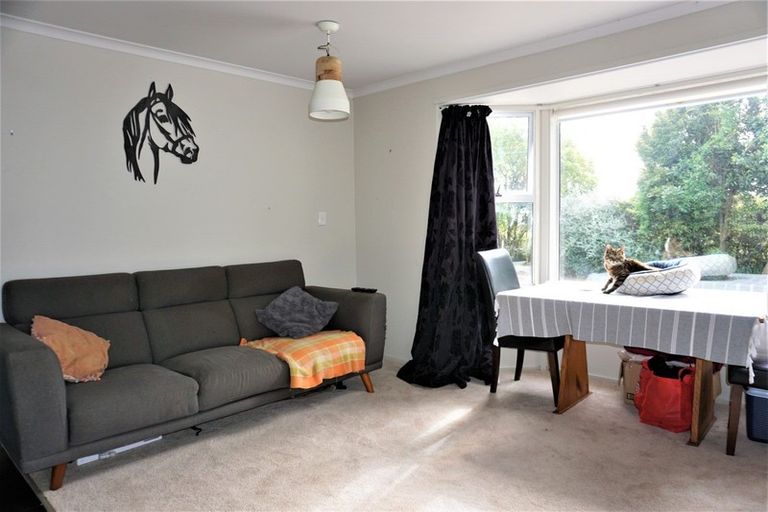 Photo of property in 82 Heatherlea West Road, Levin, 5575