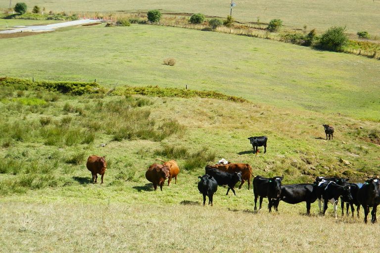 Photo of property in 524 Te Ahu Ahu Road, Waimate North, Kerikeri, 0293