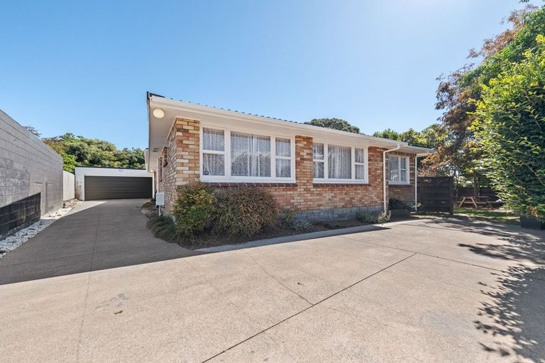 Photo of property in 91 Manu Crescent, Upper Vogeltown, New Plymouth, 4310