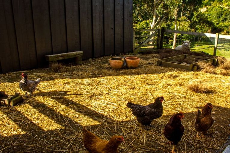 Photo of property in 367 Forest Hill Road, Aokautere, Palmerston North, 4471