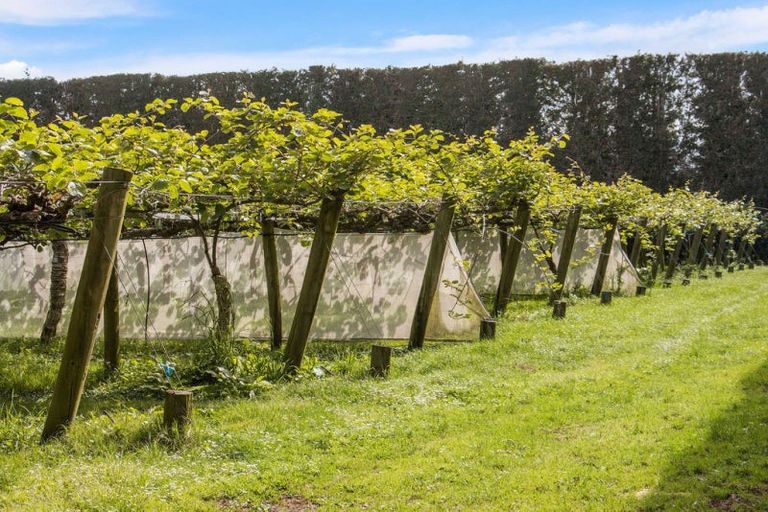 Photo of property in 76 Pukakura Road, Katikati, 3178