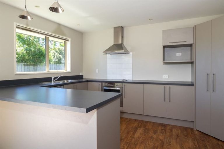 Photo of property in 17a Bowen Street, Rakaia, 7710