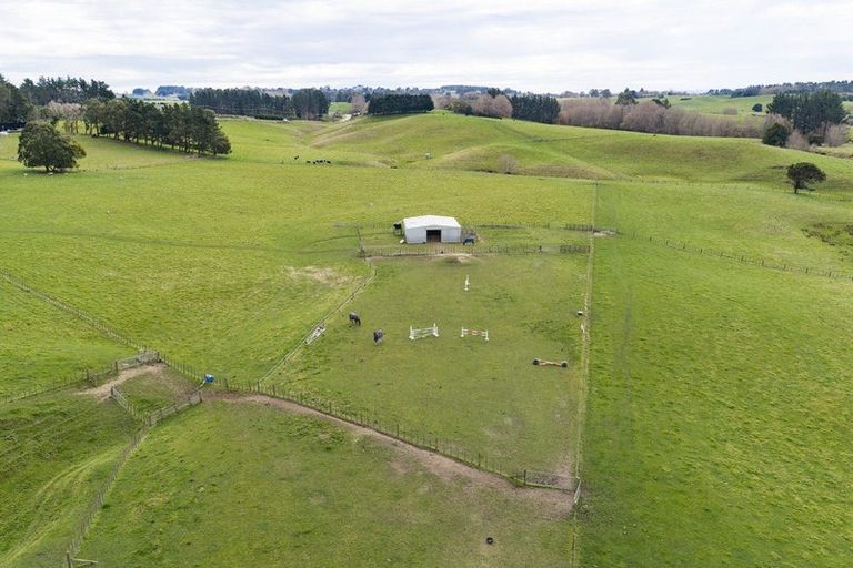 Photo of property in 780 Halcombe Road, Halcombe, 4775
