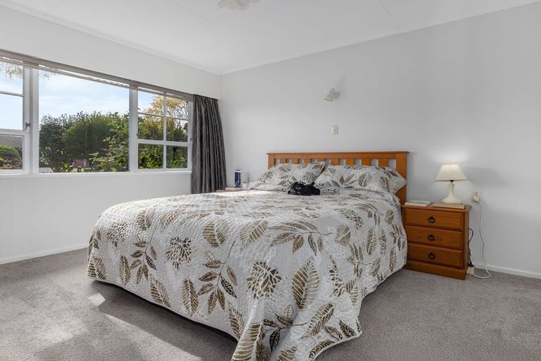 Photo of property in 74 Kennedy Drive, Levin, 5510