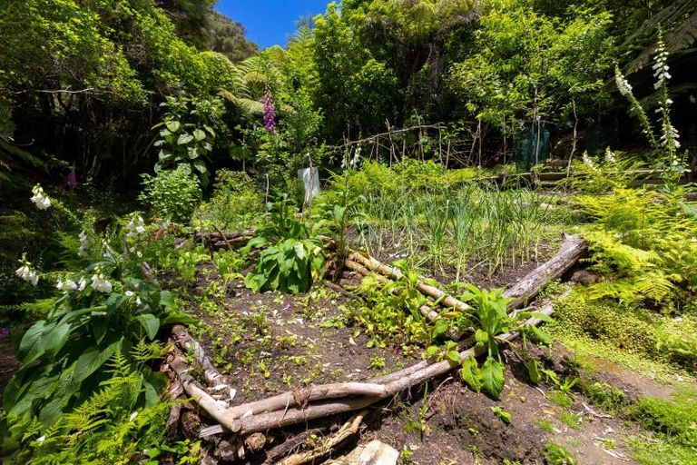 Photo of property in 47 Korimako Rise, Havelock, Picton, 7281