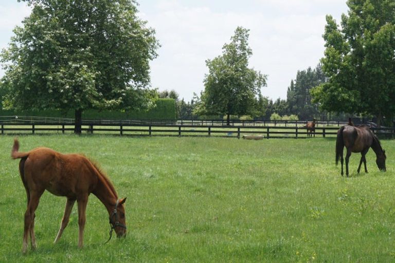 Photo of property in 598 Marychurch Road, Matangi, Hamilton, 3284