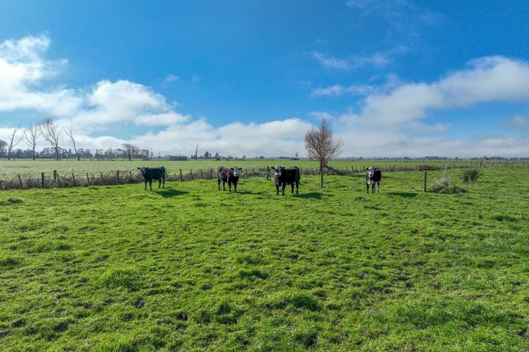 Photo of property in 527 Bush Road, Turua, Ngatea, 3597